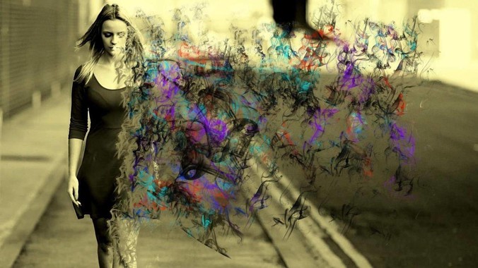 为什么“柴犬”从万人迷,变成万人嫌?